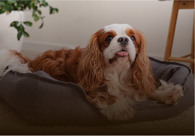 Frame 1321314797 (2)